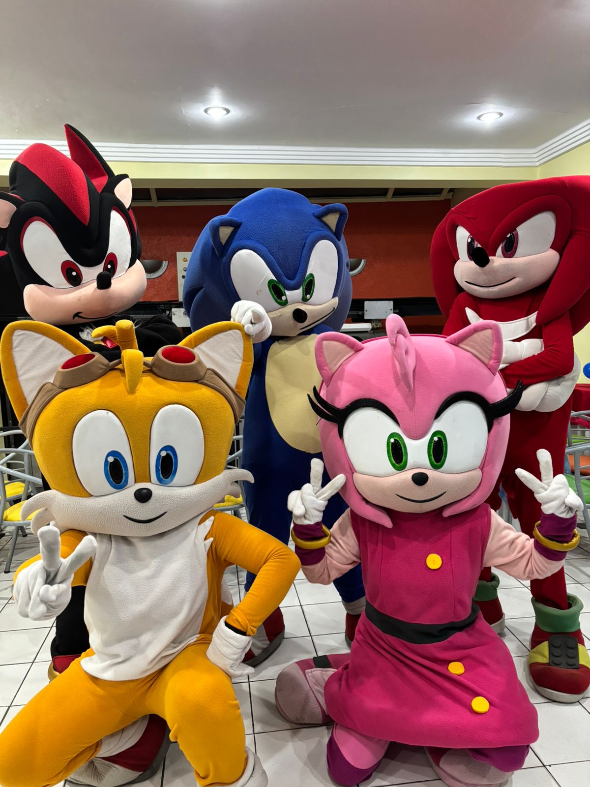 Personagens Sonic e sua turma